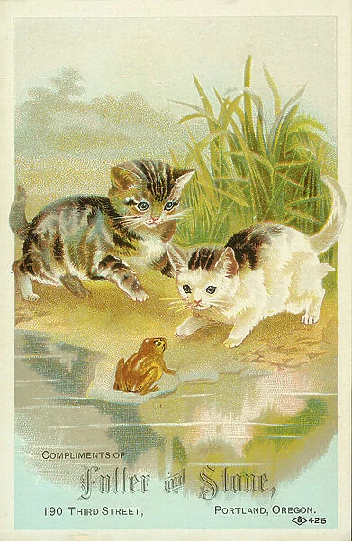 Kittens meeting a frog (chromolitho)