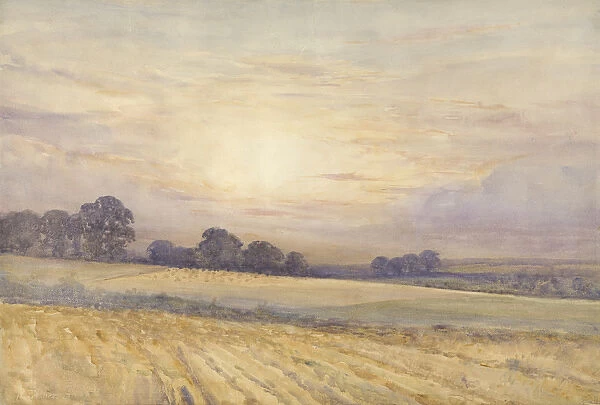 Landscape at Sunset, c. 1891 (w  /  c on paper)