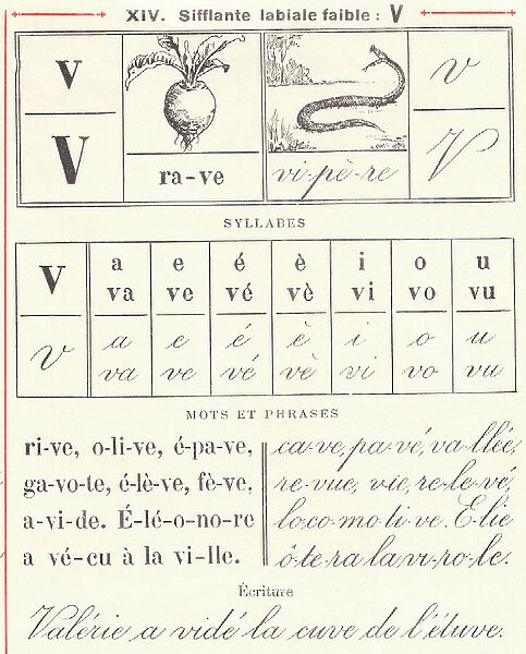 Lesson V: rave, viper, 1908 (photo)