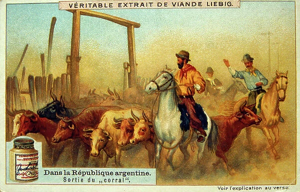 Liebig card showing South American Gauchos with cattle in Argentina 1900 (lithograph)