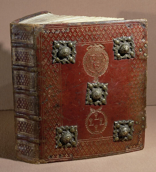 The Livre Ferre of the Cour des Comptes (leather & vellum)