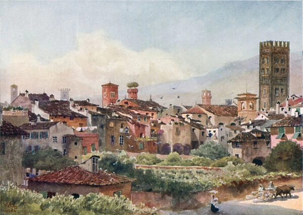 Lucca. From the City Walls (colour litho)