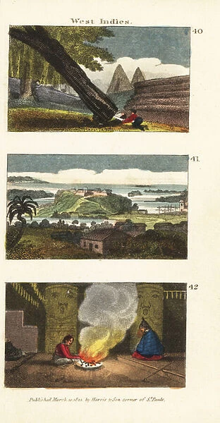 Lumberjack felling a tree in the Bay of Honduras 40, view of the town of Acapulco, Mexico, 41, and interior of a Native American Nuu-chah-nulth house in Nootka Sound 42