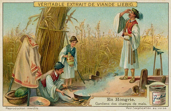 The maize field guards (chromolitho)