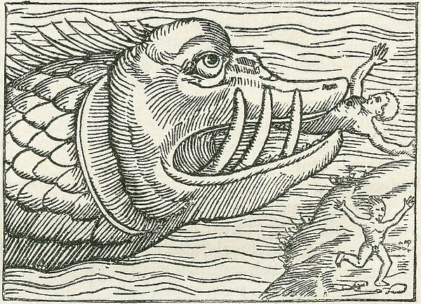 Man being eaten by a sea serpent. Illustration found on the margin of a map prepared by Olaus Magnus, 15th century Swedish geographer. From The Strand Magazine published 1897