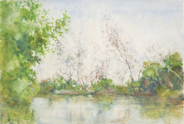 Mangrove Swamp, 1924 (w  /  c on paper)