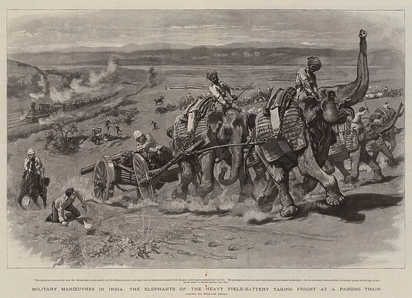Military Manoeuvres in India, the Elephants of the Heavy Field-Battery taking Fright at a Passing Train (engraving)