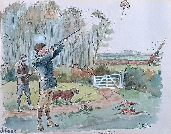 The Month of October: Pheasant Shooting (pen & ink and w  /  c on paper)