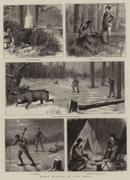 Moose Hunting in Nova Scotia (engraving)