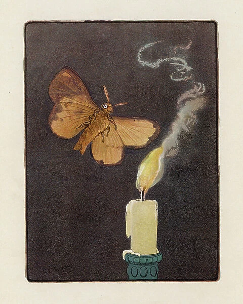 The Moth (colour litho)
