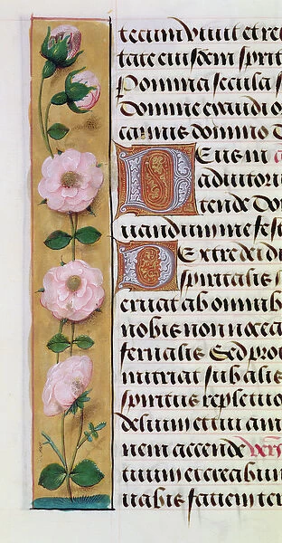 Ms. 1058-1975, f. 34v: detail of a floral border from a Book of Hours, c. 1500 (vellum)