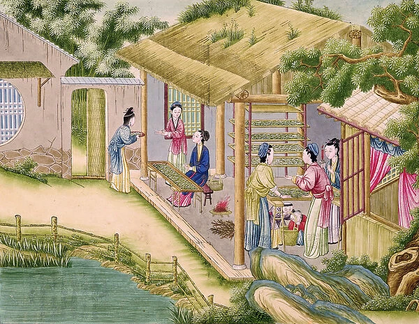 Ms 202 fol. 2 Learning about Silkworms, from a book on the silk industry (gouache