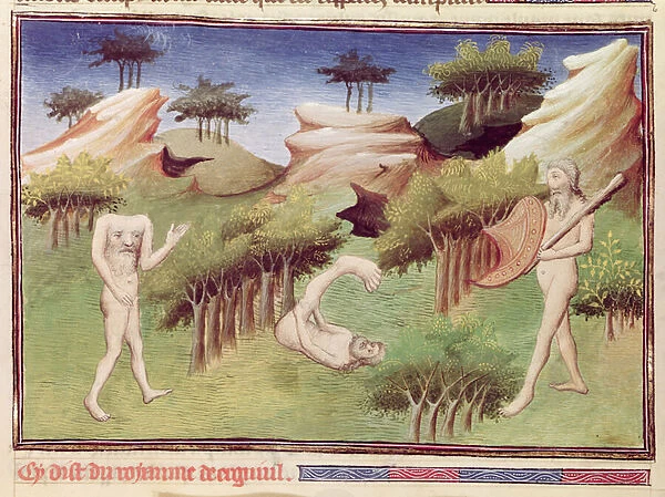 Ms 2810 f. 29v, Monsters from the land of the Merkites, from the