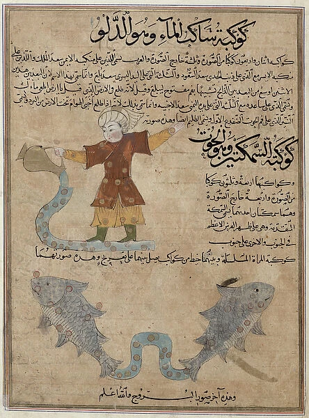 Ms E-7 fol. 25a Aquarius and Pisces, from The Wonders of the Creation and the