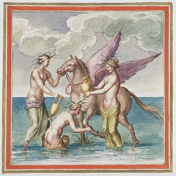 Ms Gen 1496 Plate XXX Pegasus, 1674 (w  /  c on paper)
