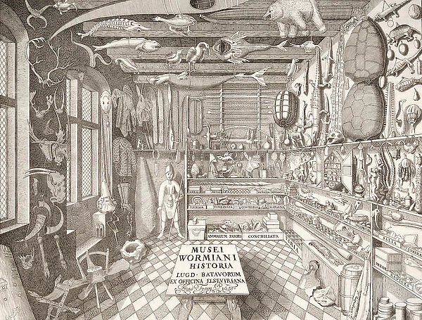 Museum of Ole Worm, Leiden, 1655 (engraving)