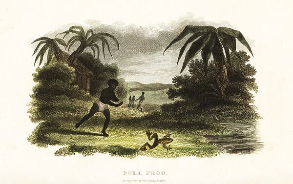 Native American man losing a race with a bull frog to a pond, 18th century