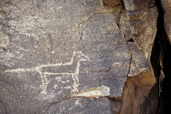 Native American petroglyph of a coyote or a wolf near Galisteo, New Mexico
