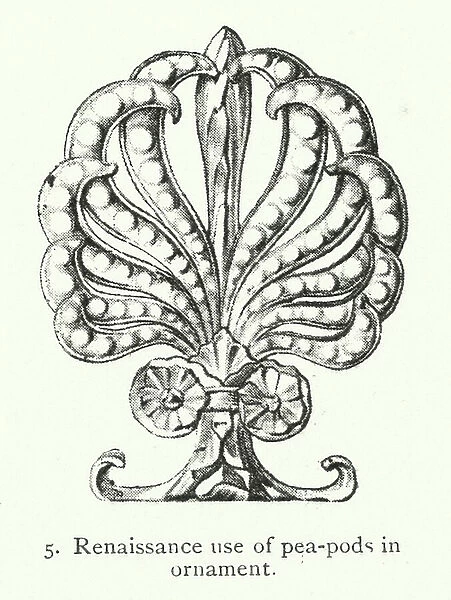 Nature in Ornament: Renaissance use of pea-pods in ornament (litho)