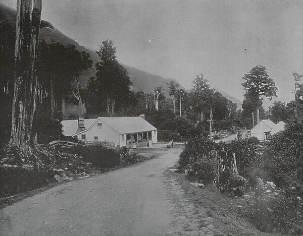 New Zealand, 1890s: Jackson's (b / w photo)