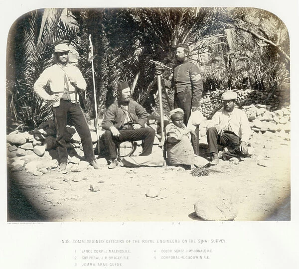 Non commissioned members of the Royal Engineers on the Sinai Survey, 1868 (b  /  w photo)