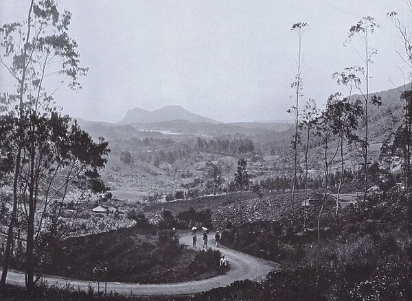 Nuwara Eliya and Surroundings from Oliphant, an Estate Cart Road (b  /  w photo)
