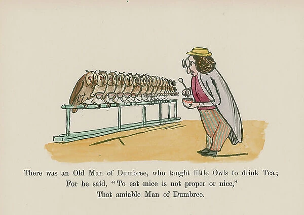 There was an Old Man of Dumbree, who taught little Owls to drink Tea (coloured engraving)