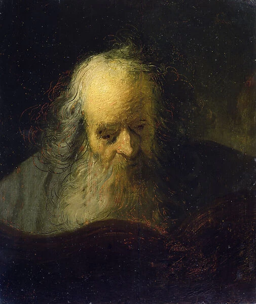 An Old Man Reading a Book (oil on canvas)