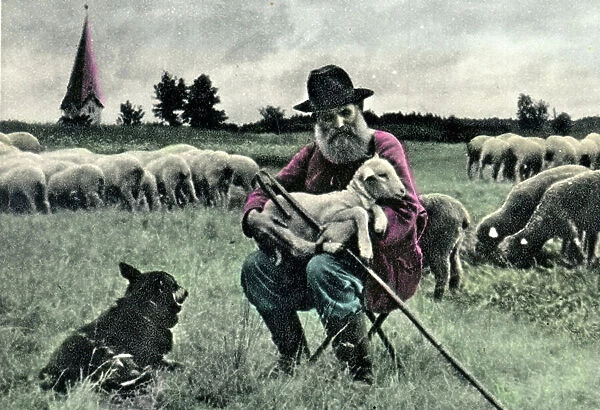 Old postcard, kitsch, an old shepherd holding a lamb in his arms, flock, shepherd, landscape, 189