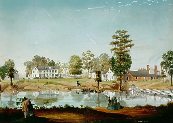 The Olivier Plantation, 1861 (w  /  c on paper)