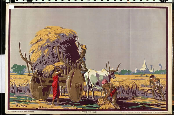 A Paddy Field, from the series Burma: A Land of Rich Resources (colour litho)