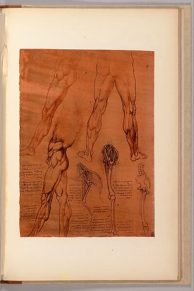 A page from Quaderni d Anatomia, I-VI, 1911-16 (colour lithograph)