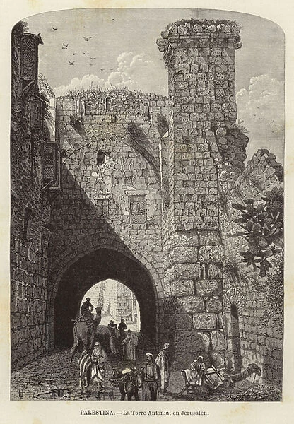 Palestina, La Torre Antonia, en Jerusalen (engraving)