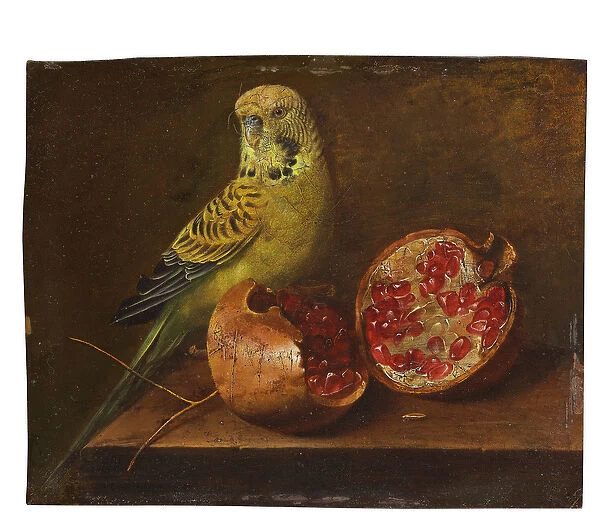 A parakeet and a pomegranate on a ledge (oil on copper)