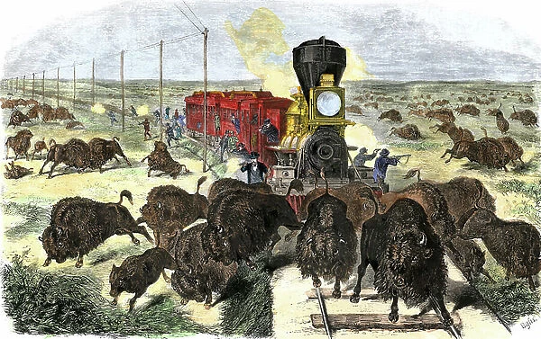 Passengers shooting bison on the transcontinental railway track, 1870 years. Colour engraving of the 19th century