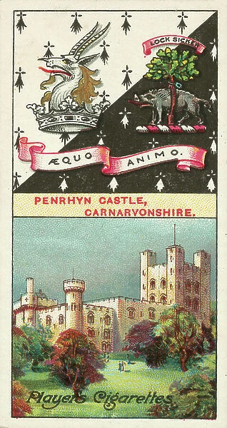 Penrhyn Castle, Carnarvonshire, Lock Sicker, Aequo Animo, Lord Penrhyn (colour litho)