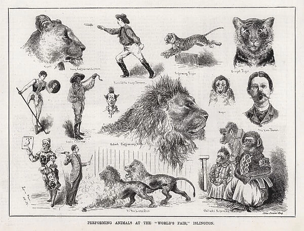 Performing Animals at the 'Worlds Fair, 'Islington (engraving)