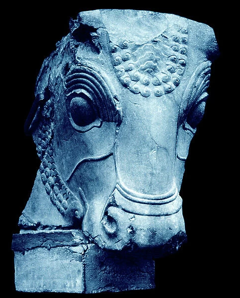 Persian limestone bull's head