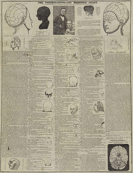 The Phrenological and Mesmeric Chart (litho)