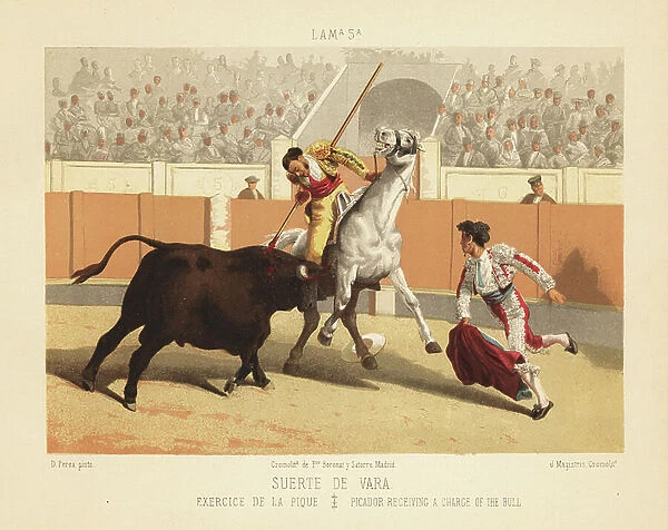 Picador on horseback stabbing a charging bull with a lance while a matador with cloak runs beside them. Chromolithograph by J. Magistris after an illustration by Daniel Perea from Bullfight, Corrida del Toros, Madrid, Boronat & Satorre, 1894