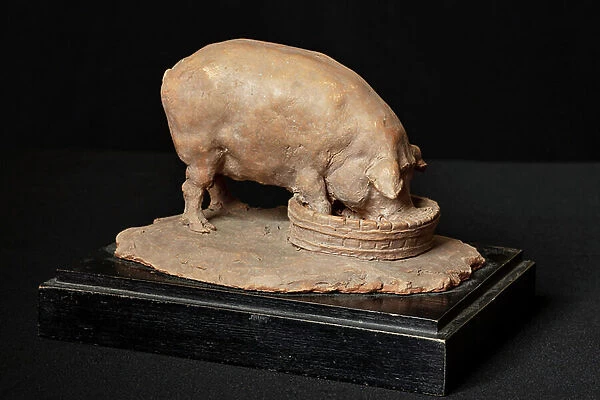 A Pig (terracotta)