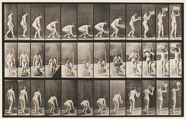 Plate 221. Stooping and Lifting 12 lb basket to Head, 1872-85 (collotype on paper)