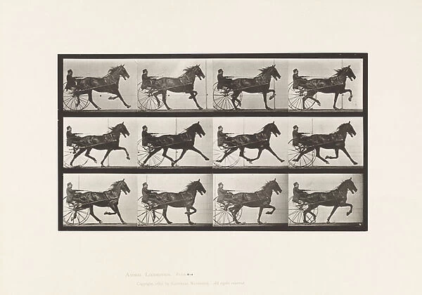 Plate 606. Trotting; Sulky; Bay Horse, Reuben, 1885 (collotype on paper)