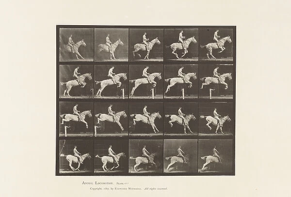 Plate 642. Jumping a Hurdle; Saddle; Rider, 105, Nude; Gray Mare
