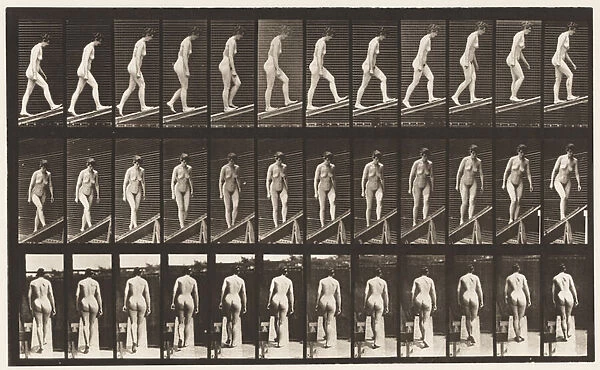 Plate 76. Ascending Incline, 1872-85 (collotype on paper)