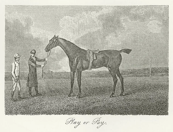 Play or Pay, foaled 1791 (b  /  w photo)