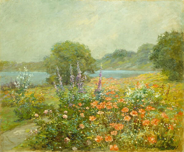 Poppies, 1905 (oil on canvas)