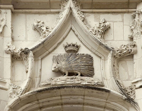 Pork epic (porc-epic), emblem of Louis XII (1462-1515), according to his royal motto ' who rubs s'y pique', sculpture overcoming an entrance to the Louis XII wing of the Chateau de Blois. Photography, Chateau de Blois, Blois, Loir et Cher, Centre
