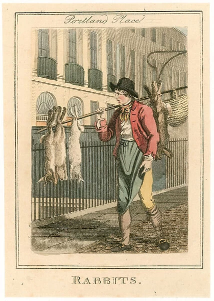 Portland Place. Rabbits (coloured engraving)