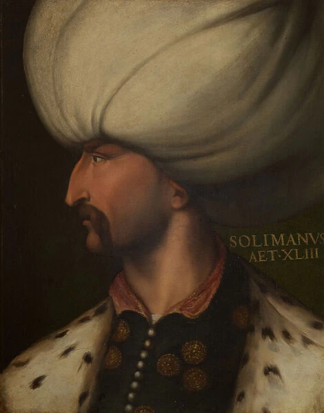 Portrait of Suleiman the Magnificent (oil on panel)